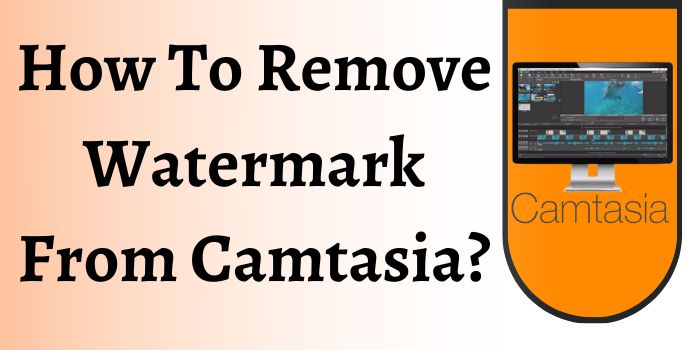 remove watermark from Camtasia