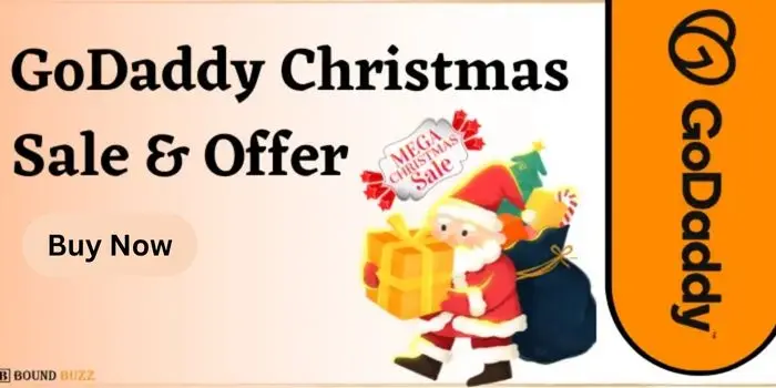 GoDaddy Christmas Offer & Sale 2024