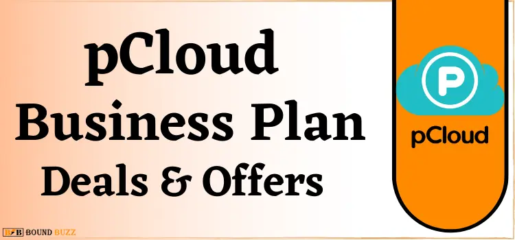 pCloud Business Plan Offer & Deals 2024