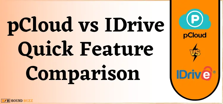 pCloud vs IDrive Quick Feature Comparison